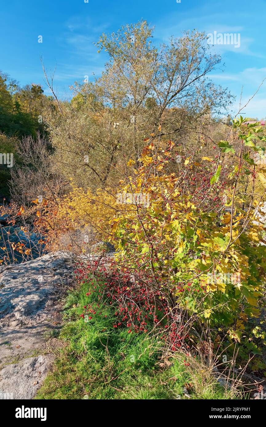 Lebendige Herbstfarben des Buky Canyon in der Ukraine Stockfoto