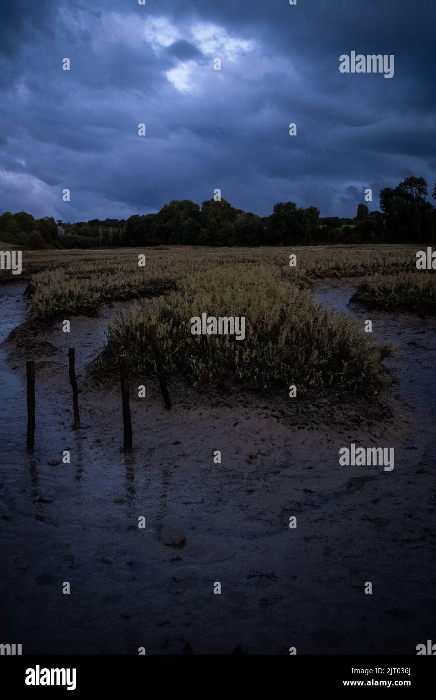 Frankreich, Bretagne, Pleudihen-sur-Rance, die 2020-09-23. Langfristiger Bericht über die Fragen des Flusses Rance in der Bretagne und insbesondere zu dieser Frage Stockfoto