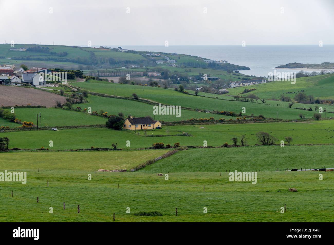 Häuser in den grünen Hügeln Irlands, West Cork. Ackerland. Stockfoto