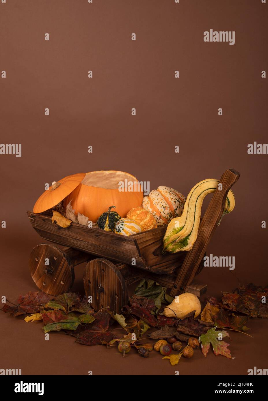 Neugeborene Fotografie Kürbis Kutsche Schubkarre Hintergrund / Hintergrund Herbst halloween Stockfoto