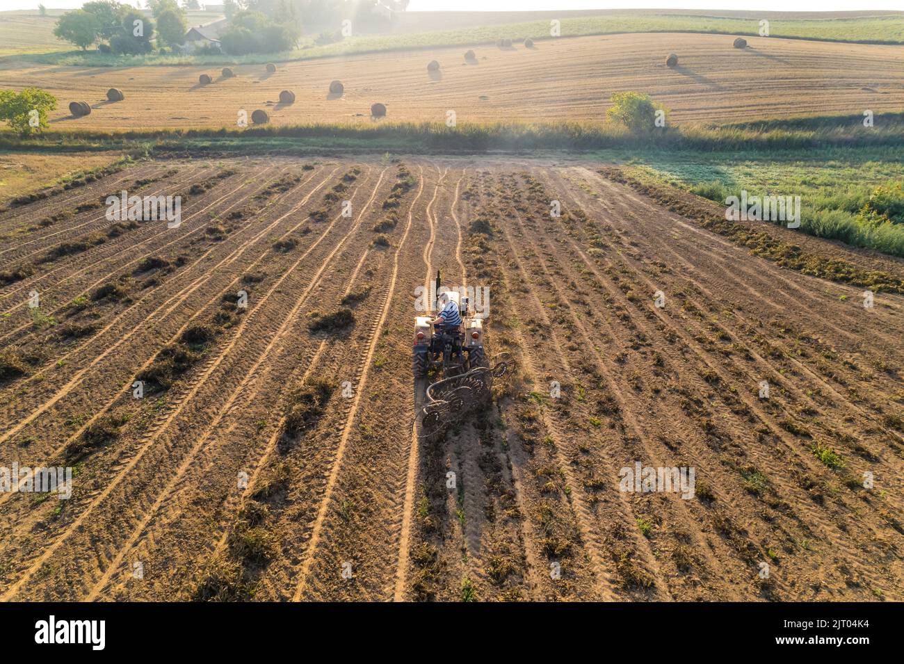 Traktor fährt durch die Bohnenplantage mit Feldern und Grün im Hintergrund. Farmlandschaft. Lebensmittelindustrie. Horizontale Aufnahme. Hochwertige Fotos Stockfoto
