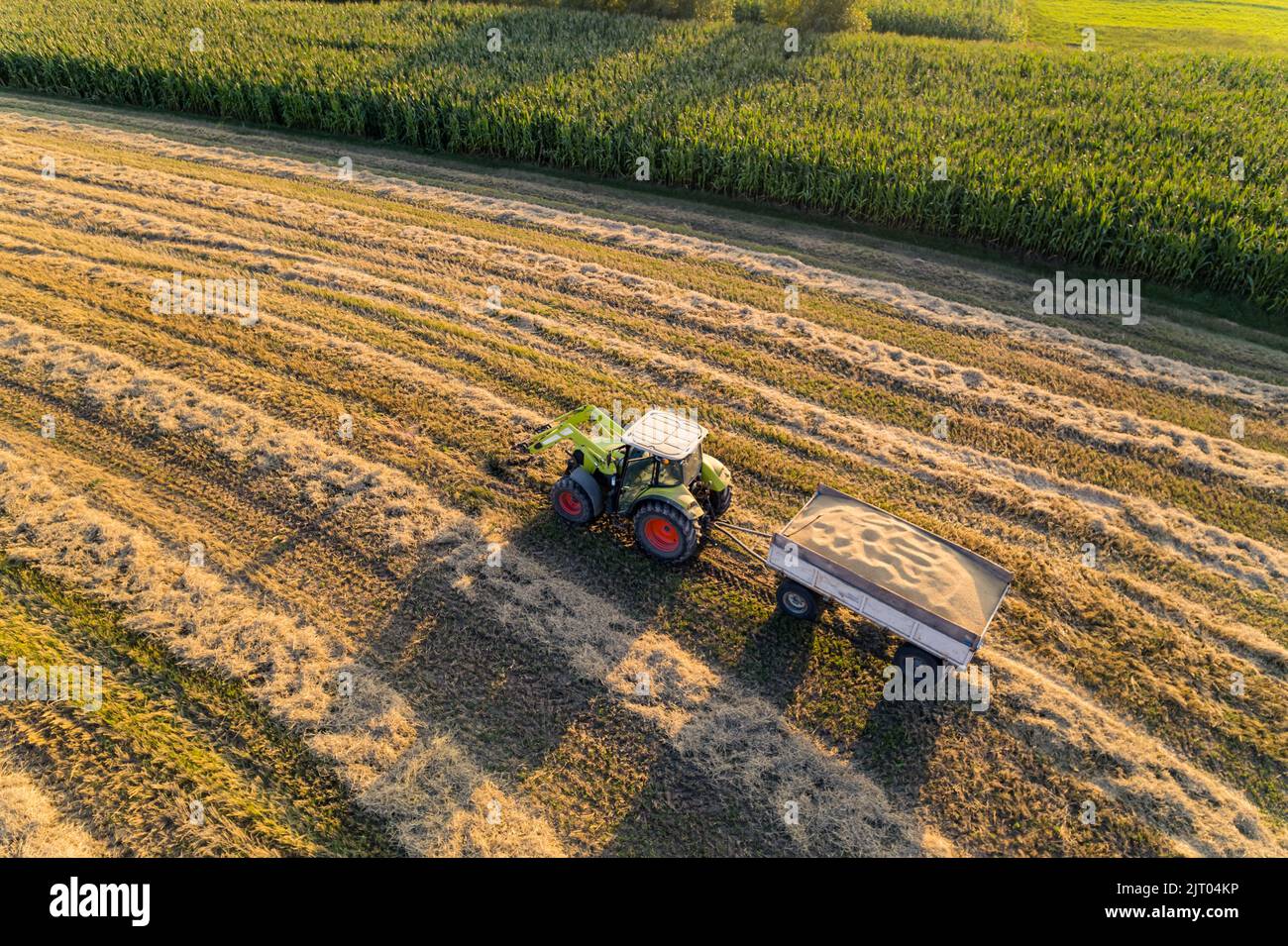 Farm Feld mit grünen Traktor und Anhänger. Von oben nach unten Blick auf die Farmlandschaft im Sonnenlicht. Horizontale Aufnahme. Hochwertige Fotos Stockfoto