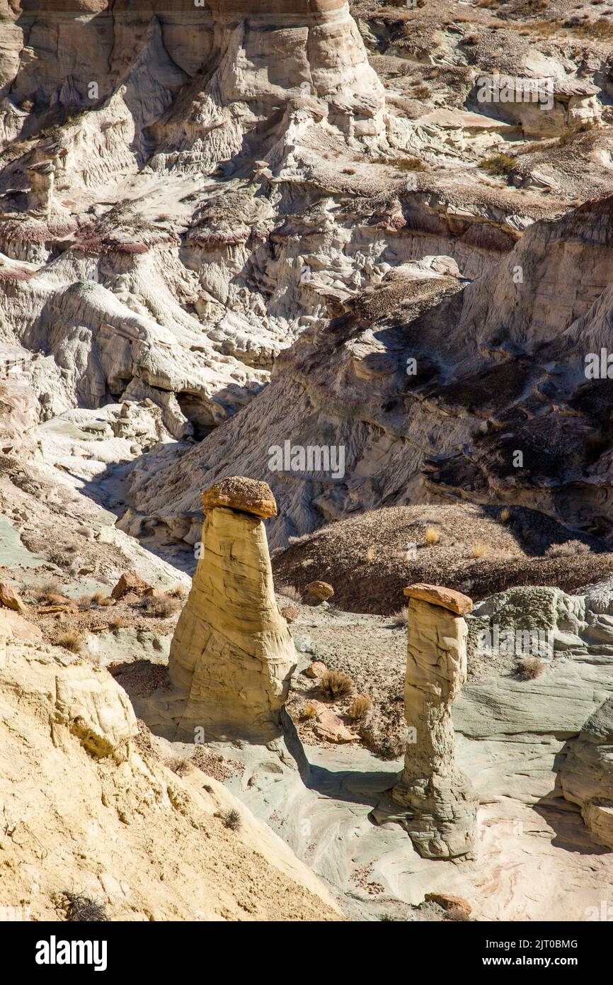 Hoodoos in den Upper White Rocks Badlands, Paria Rimrocks, Grand Staircase-Escalante National Monument, Utah. Stockfoto