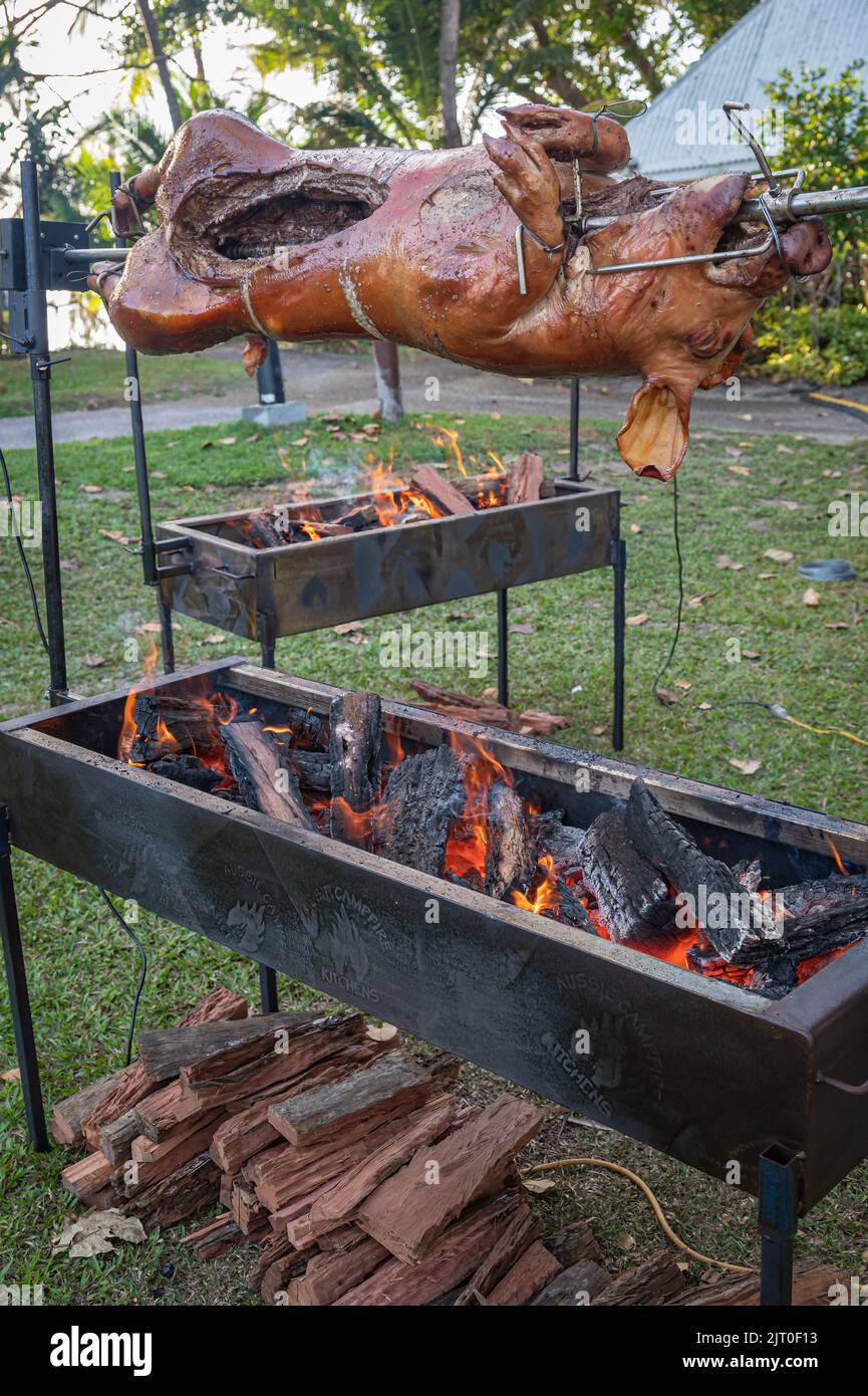 Ein ganzes Schwein, das bei einem Festival in Port Douglas, Far North Queensland, Australien, auf einer eigens dafür gebauten rechteckigen Feuerstelle aus Stahl gebraten wird. Stockfoto