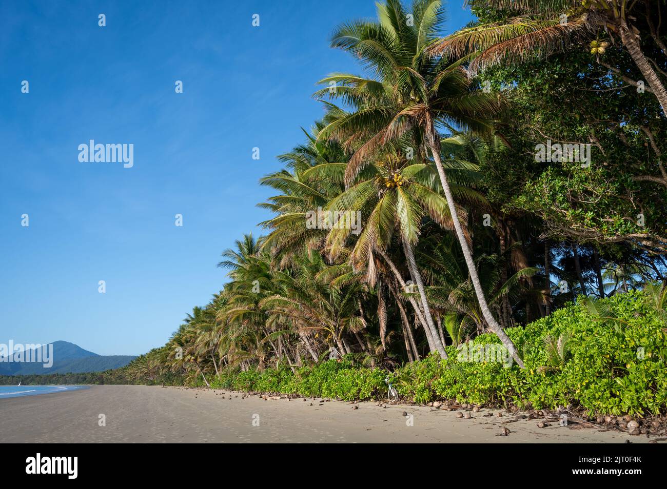 Das 4 Meilen lange, von Kokos gesäumte Strandresort an einem wunderschönen Tag am blauen Himmel in Port Douglas, angrenzend an das Sheraton Mirage Resort in Queensland, Australien. Stockfoto