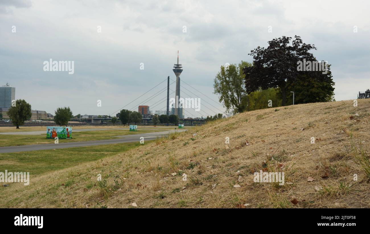 Ausgetrocknete Landschaft am Rhein in Düsseldorf/Deutschland nach vielen Wochen mit heißen Temperaturen und ohne Regen. Selektiver Fokus auf trockene Wiese. Stockfoto
