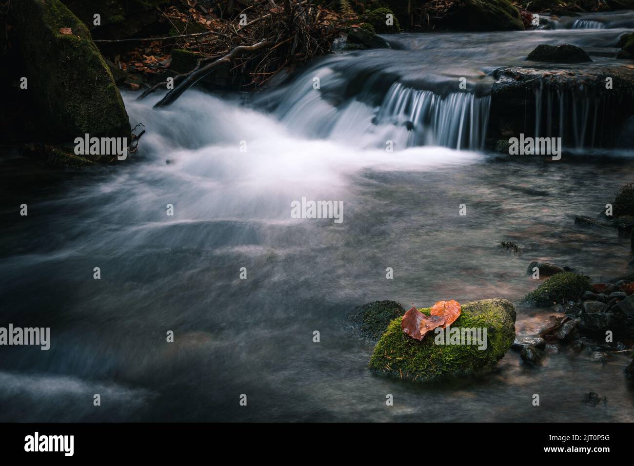 Das Wasser, das durch die Felsen im Flussbett von Kytserov fließt, erzeugt kleine Kaskaden um die Ufer, die mit bunten Herbstblättern bedeckt sind. Autu Stockfoto