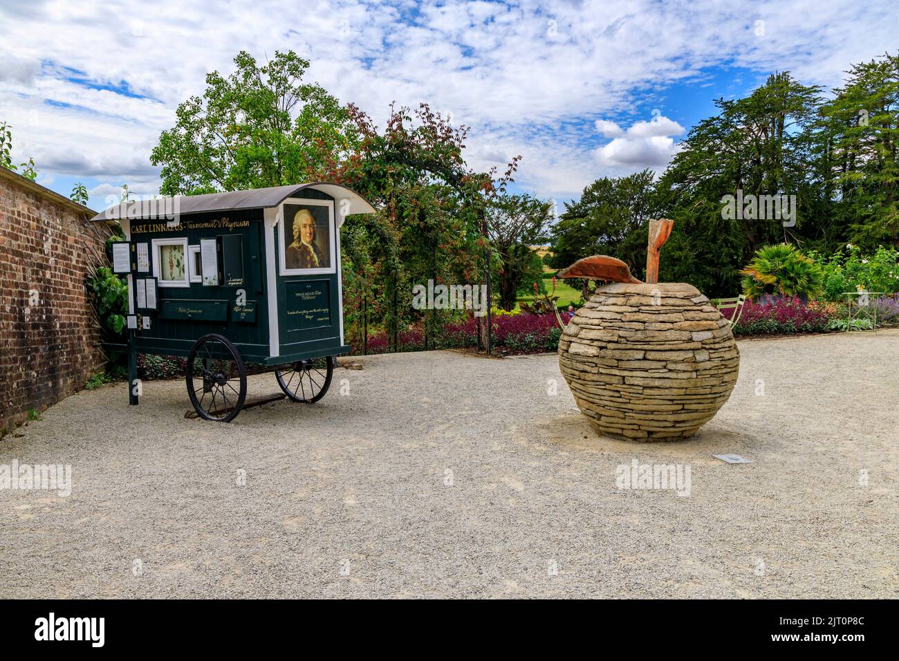 Ein Stein-Apfel-Kunstwerk und ein mobiler Carl Linnäus (schwedischer Botaniker und Taxonom) sind im Garten „The Newt in Somerset“, bei Bruton, England, Großbritannien, ausgestellt Stockfoto