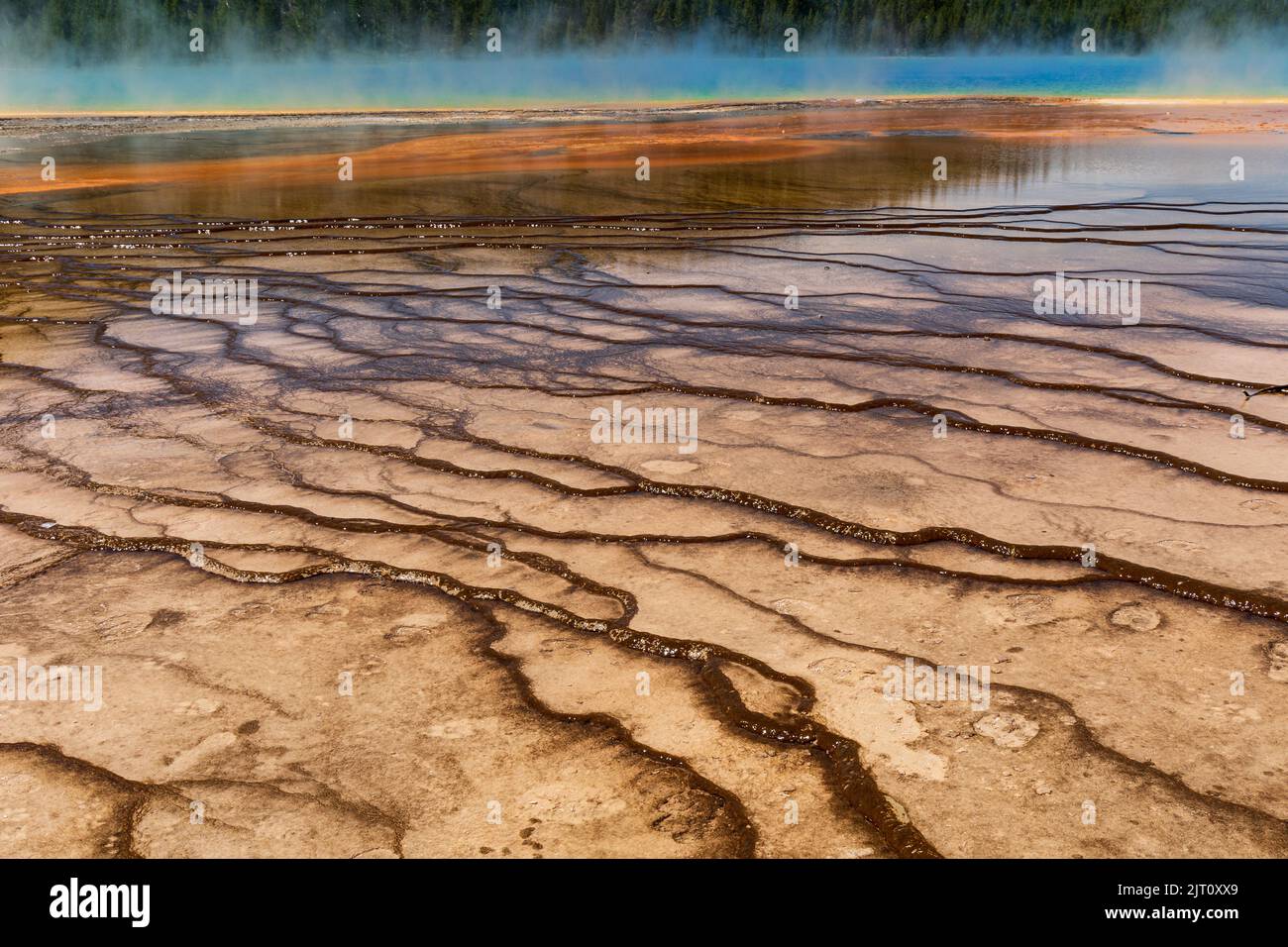 Das Wasser, das aus der Grand Prismatic Spring läuft, erzeugt eine braune, wellige Landschaft, Yellowstone National Park, Wyoming, USA Stockfoto