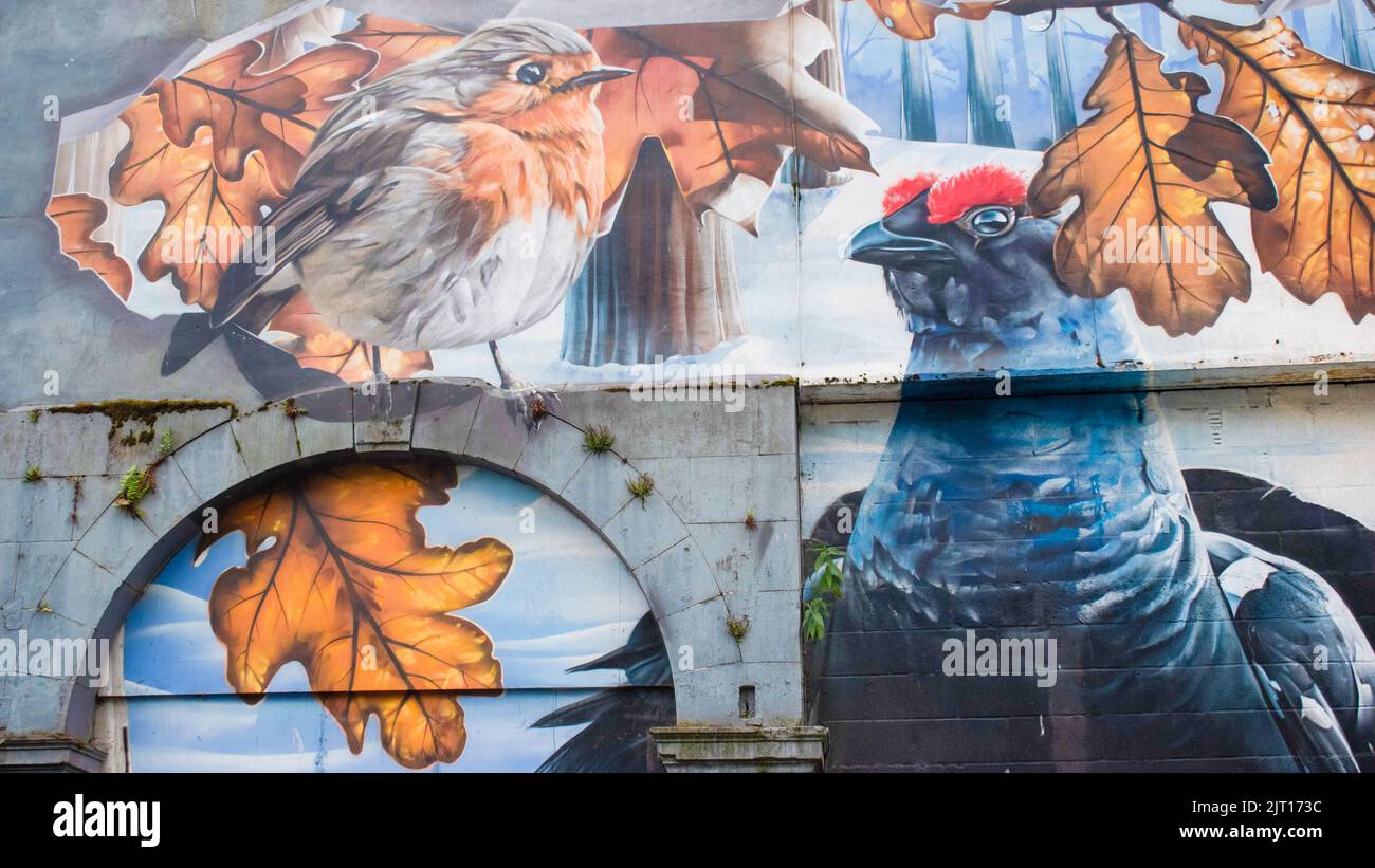 Ingram Street Car Park, Glasgow. Hier können Sie mehrere Wandgemälde sehen, auf denen die in den Stadtparks lebenden Tiere zu sehen sind - die ‘Fellow Glasgow Residents’ von smug Stockfoto