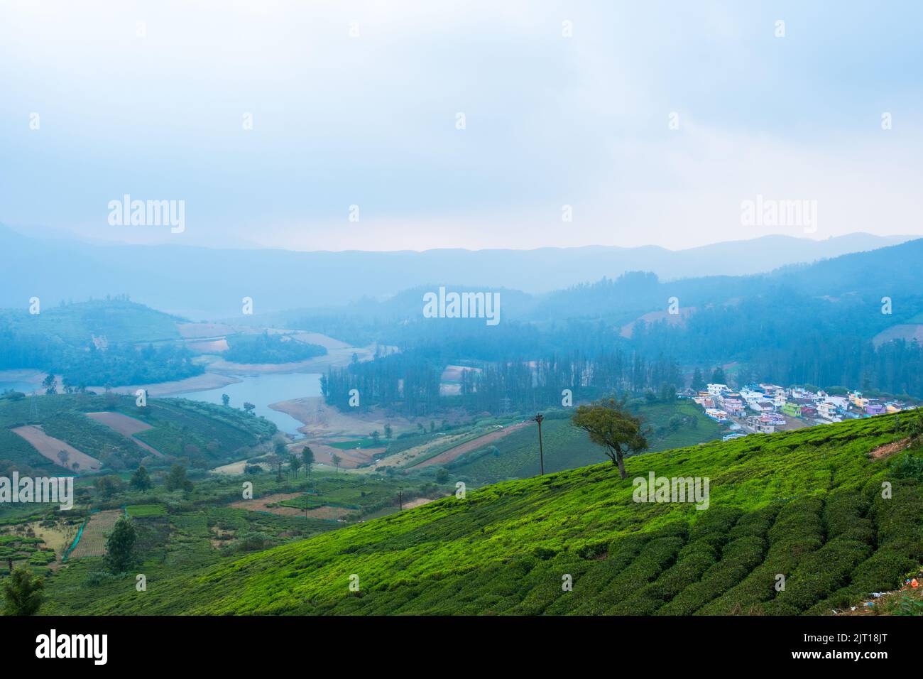 Blick auf den Teegarten und den Fluss auf Ooty Stockfoto