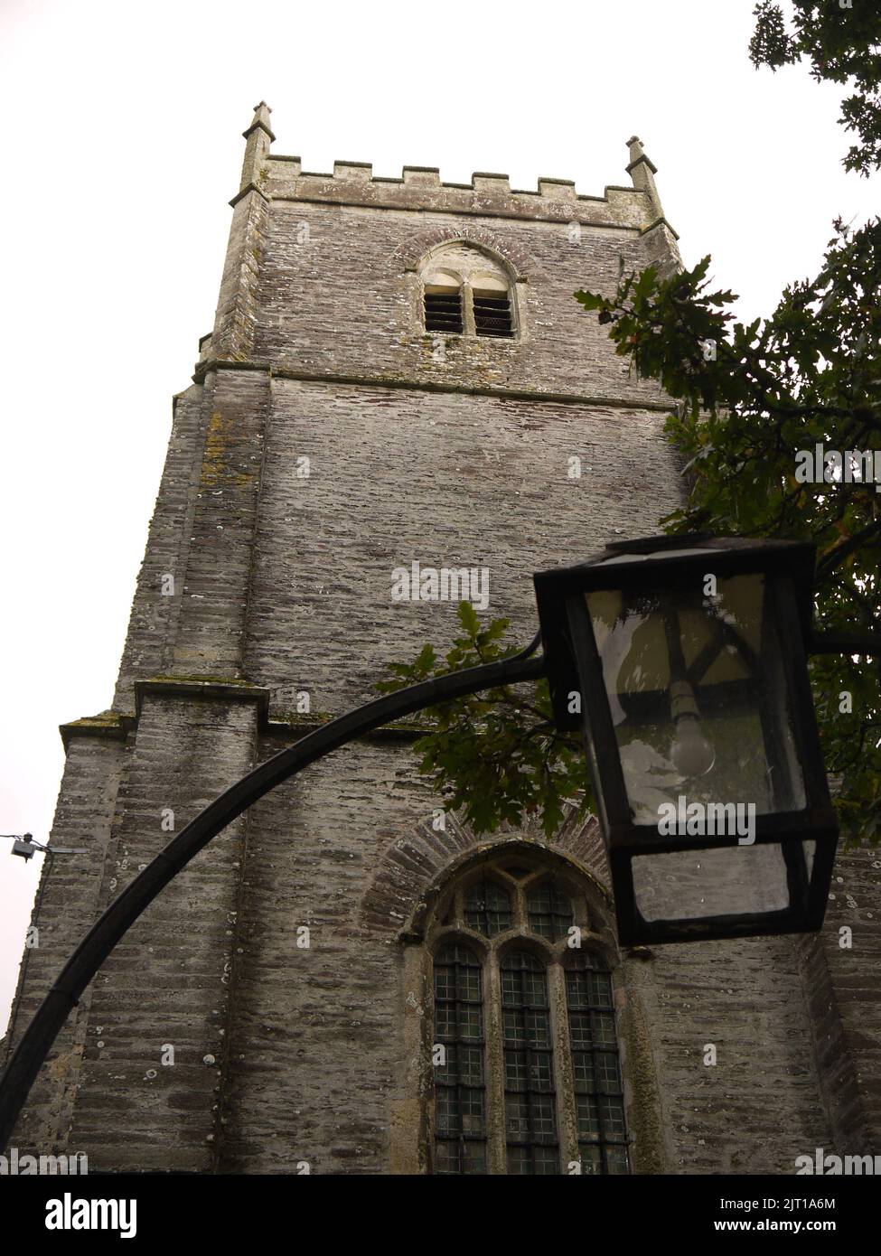 Eingang und Turm der Landulph Church (Pfarrkirche St. Leonard & St. Dilpe), Cornwall, eingerahmt von einer englischen Eiche (Quercus robur) Stockfoto