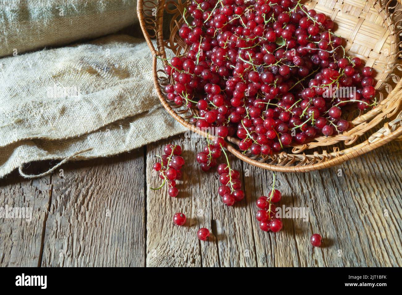 Stillleben mit reifen Beeren auf alten Brettern. Sommerernte aus nächster Nähe. Stillleben mit hellen Früchten Stockfoto