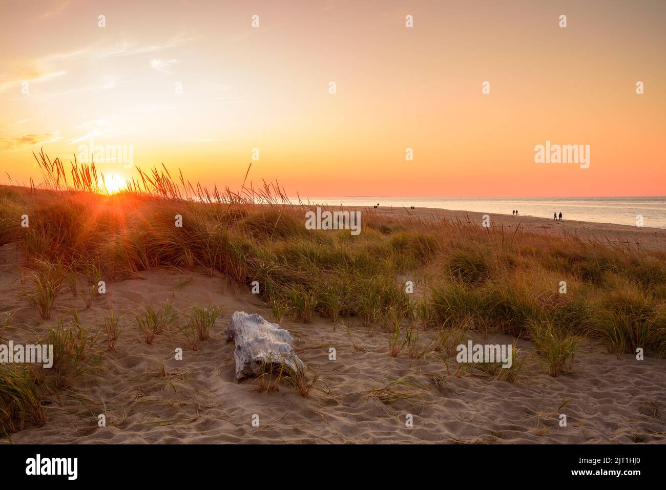 Küstensanddünen entlang eines Strandes bei Sonnenuntergang im Herbst. Die Menschen, die am Strand entlang stollten, sind in der Ferne sichtbar. Stockfoto