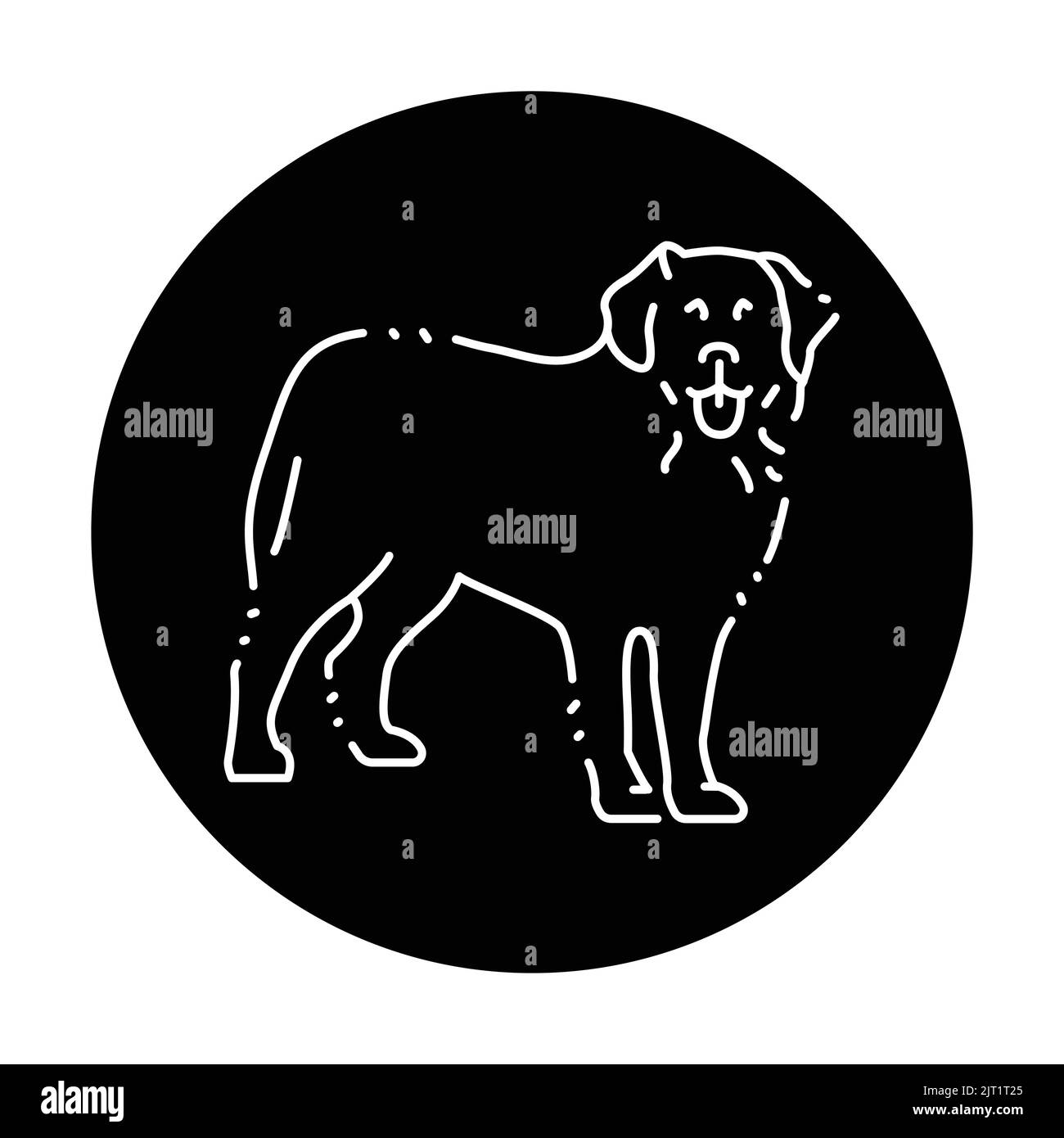 Symbol für die farbige Linie des Berner Sennenhundes. Hunderasse. Piktogramm für Webseite, mobile App, Promo. Stock Vektor