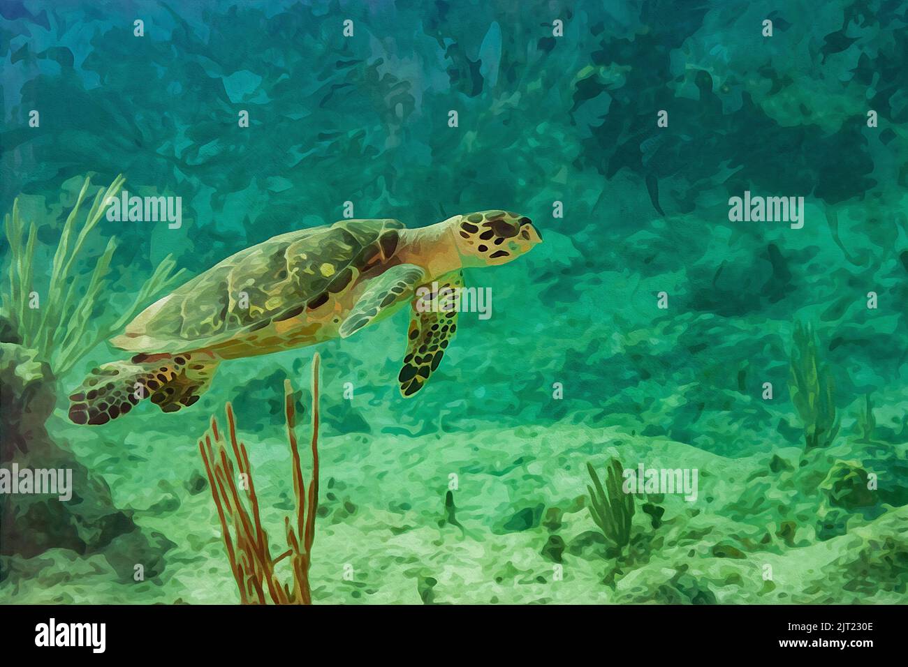 Digital erstellte Aquarellmalerei von grünen Schildkröten, die in den Gewässern von Little Cayman kreuzen Stockfoto