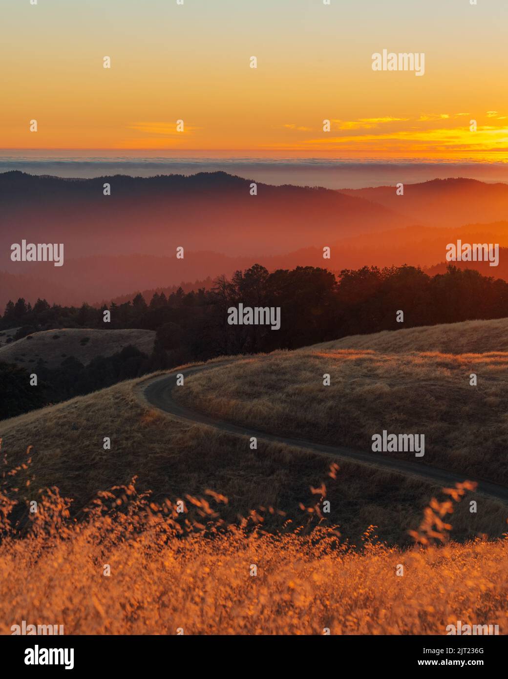 Blick auf den Sonnenuntergang vom Hickory Oaks Trail in den Santa Cruz Mountains, Los Gatos, Kalifornien Stockfoto