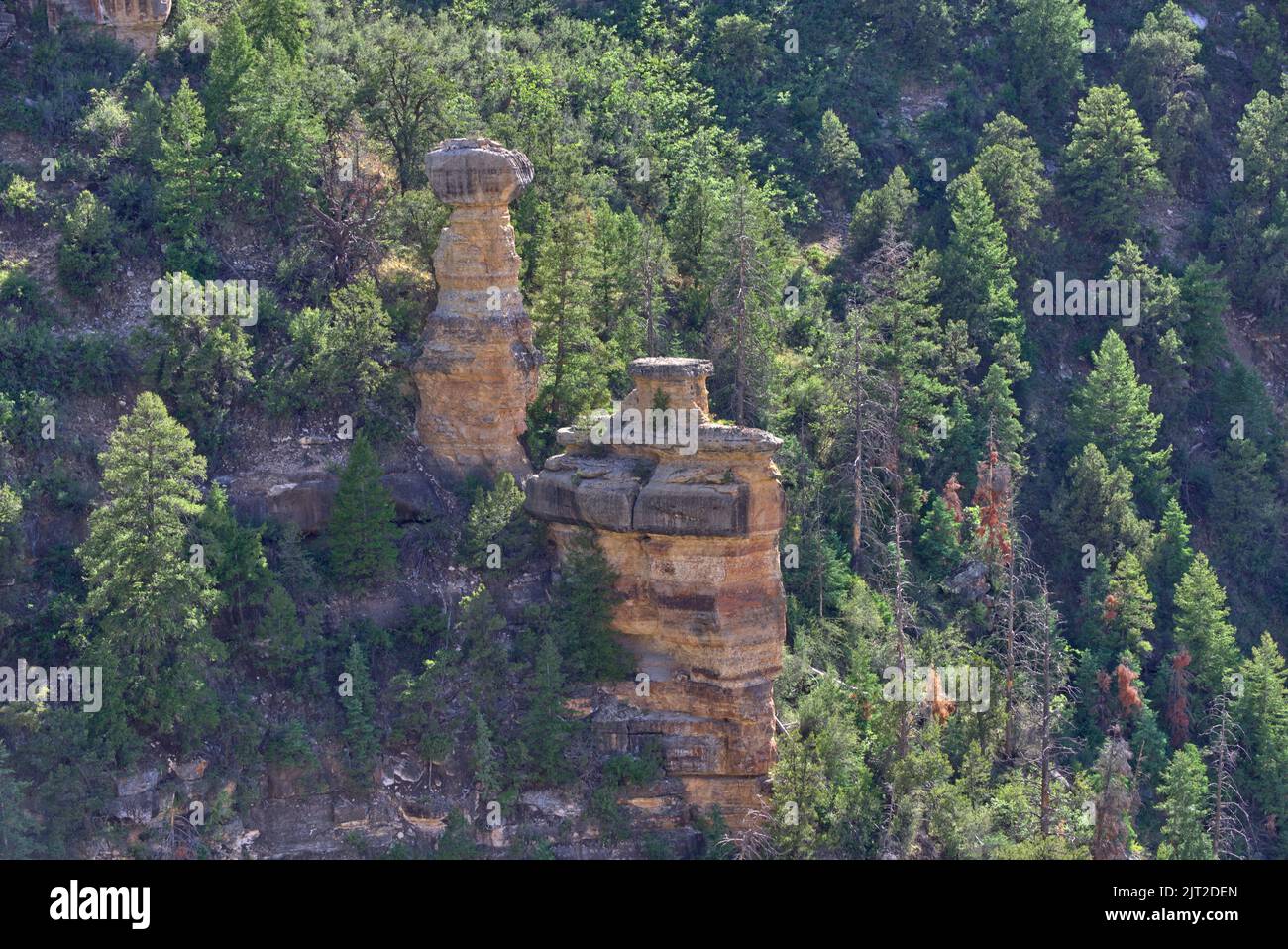 Nahaufnahme einer Felsformation am Grand Canyon Arizona namens Thor's Anvil. Stockfoto