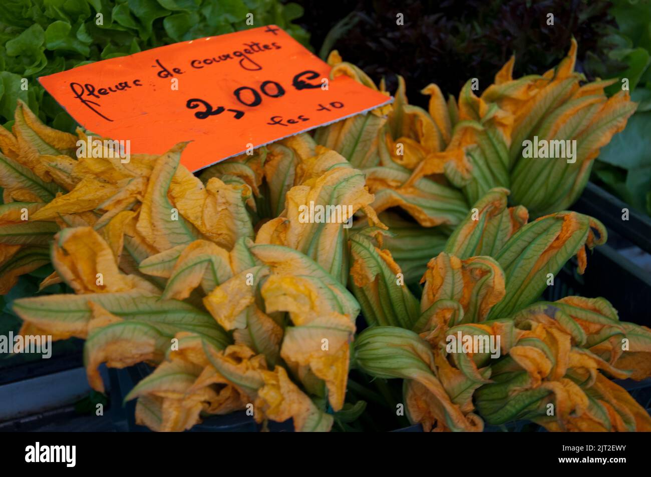 Zucchini Blumen, Croix Rousse Markt, Lyon, Rhone, Rhone-Alpes, Frankreich. Croix Rousse war das Zentrum der Seidenindustrie in Lyon. Das ist die große Stockfoto