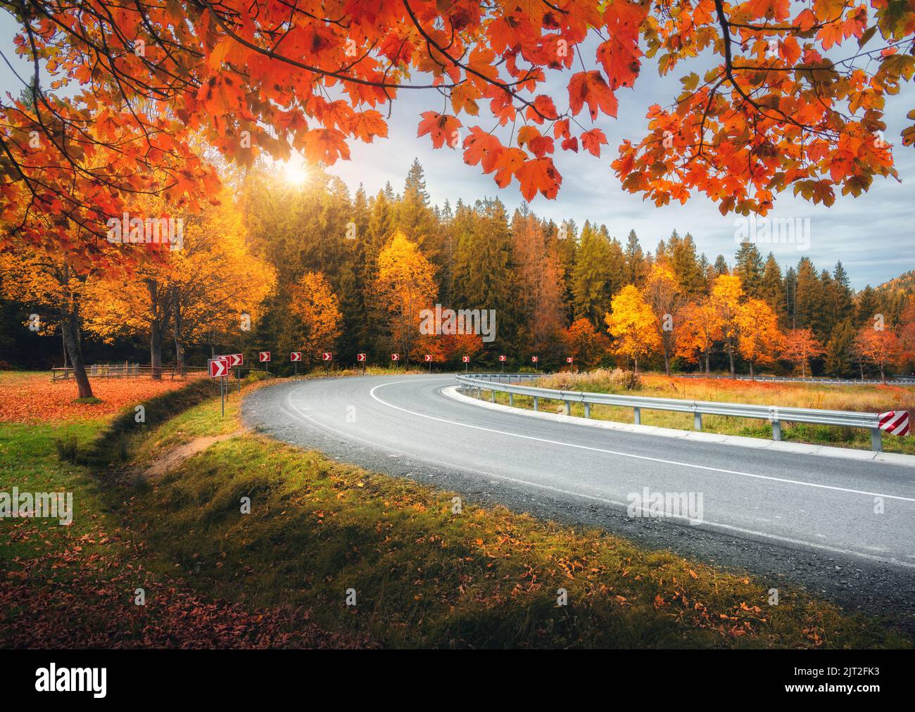 Straße im Herbstwald bei Sonnenuntergang. Wunderschöne leere Bergstraße Stockfoto