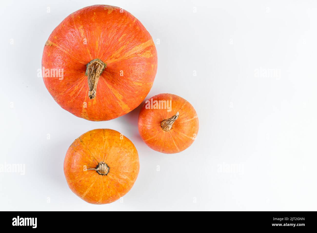 Drei reife Kürbisse auf weißem Hintergrund. Herbsternte. Thanksgiving und halloween Symbol. Stockfoto