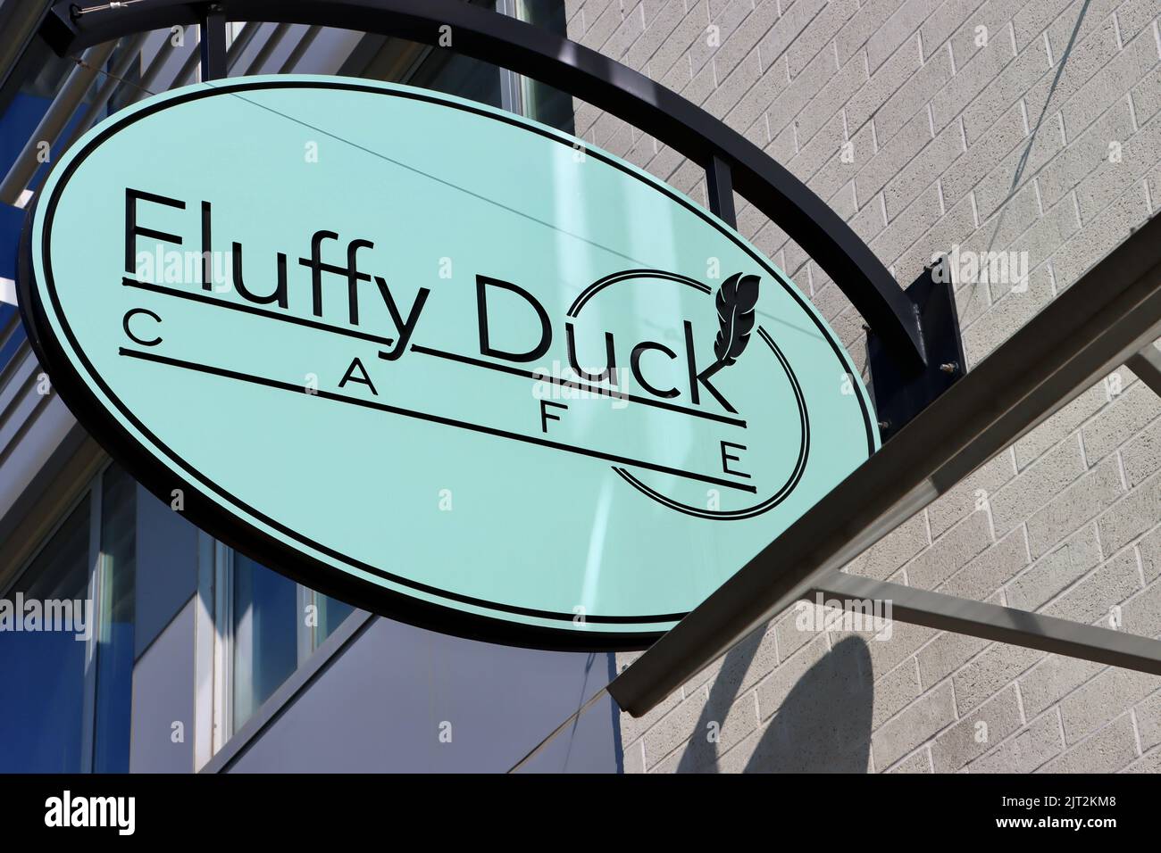 Flauschiges Duck Cafe auf dem Hauptcampus der Cleveland Clinic Stockfoto