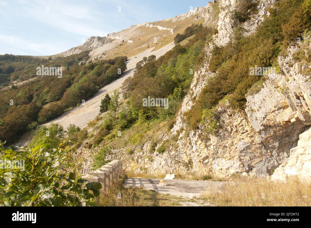 Französische Alpen, Vercors, Isere, Rhone Alpes, Frankreich. Nahaufnahme von Felsen. Stockfoto