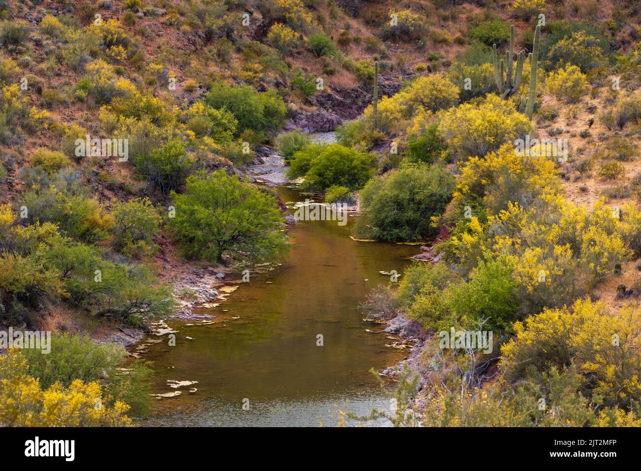 Blick auf eine der Buchten vom Pipeline Canyon Trail am Lake Pleasant, Arizona, USA. Stockfoto