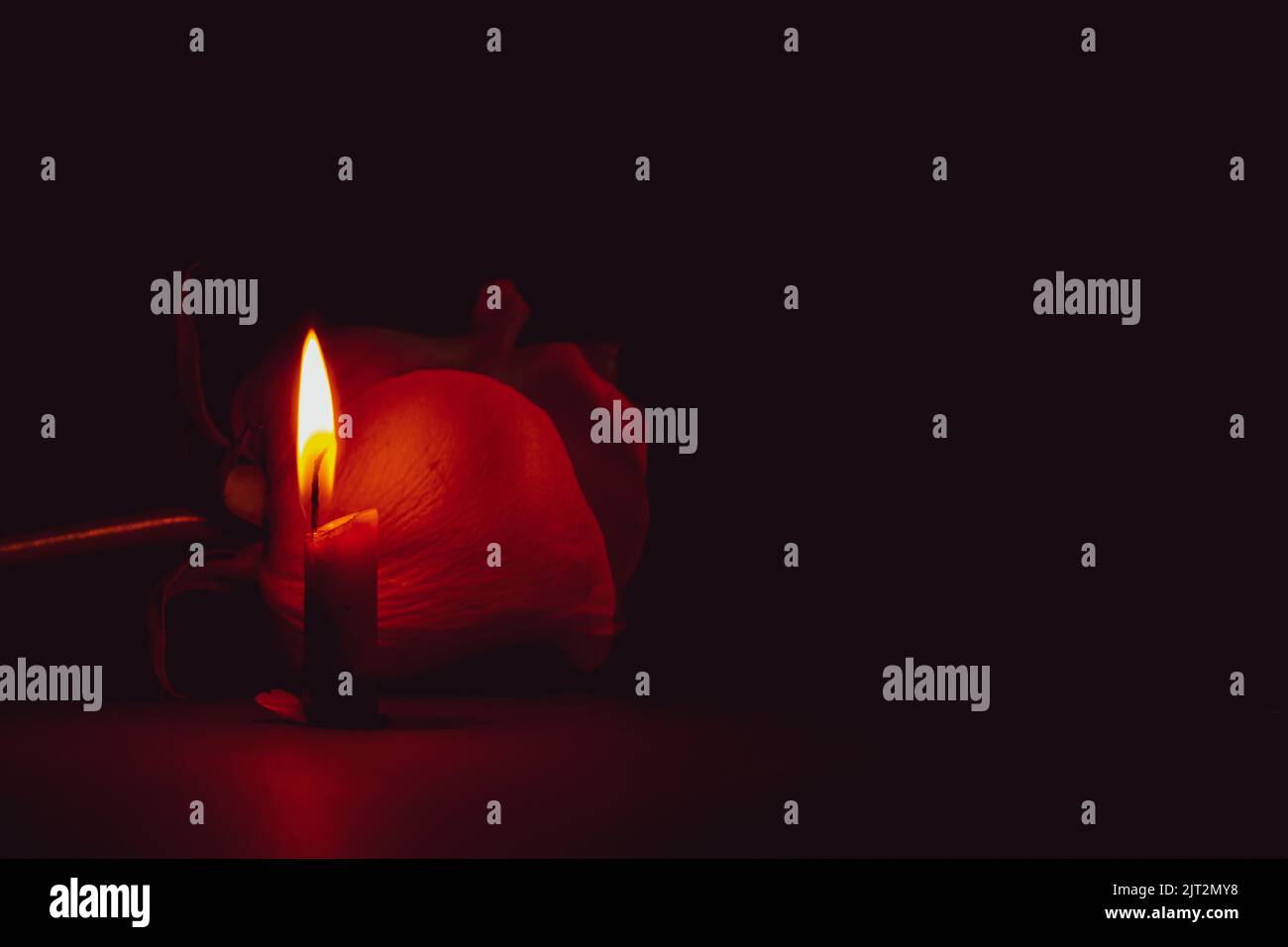 Eine Kerzenflamme und neben einer Rose in der dunklen Nahaufnahme Stockfoto