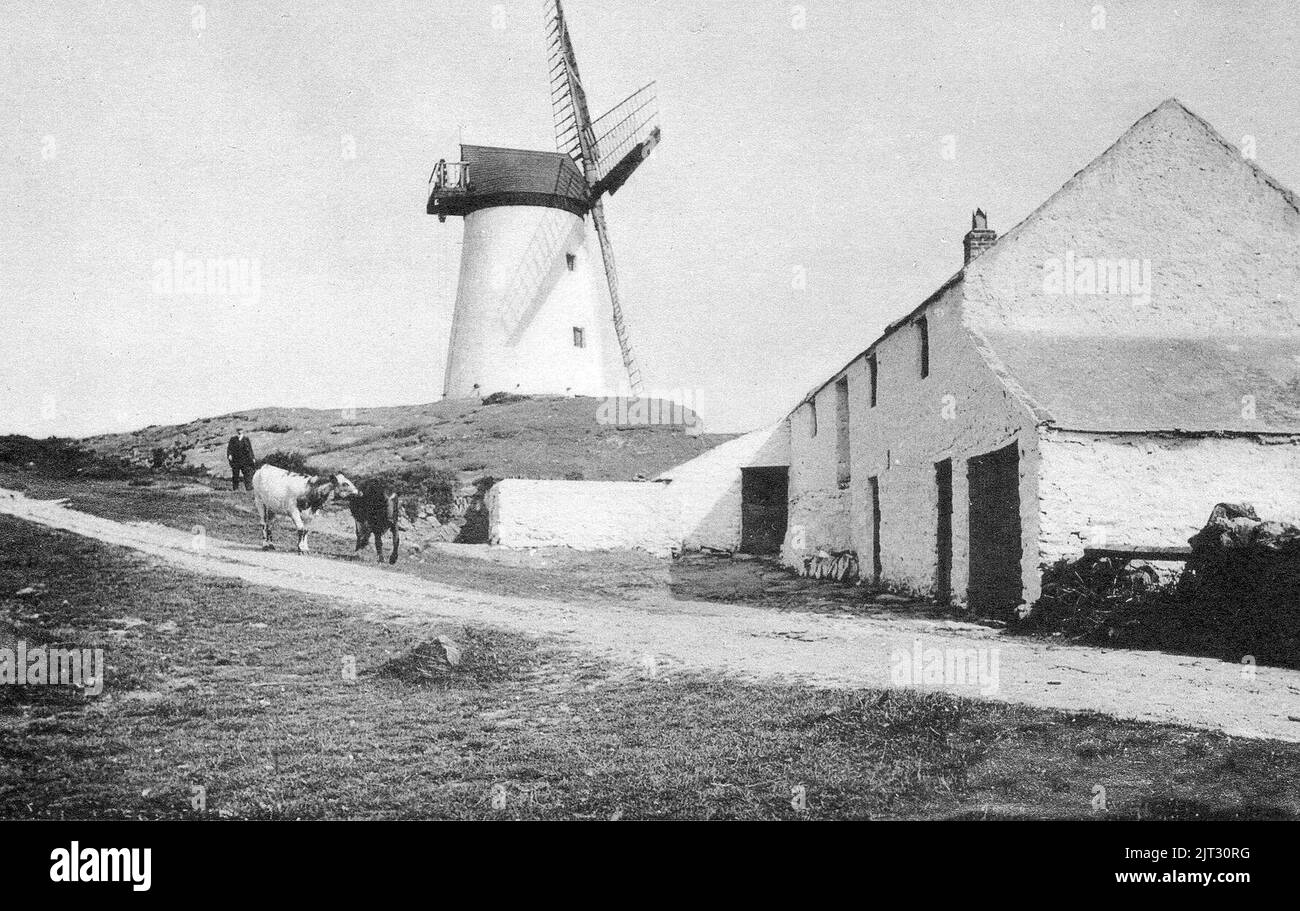 Windmühle Treaddur Bay. Stockfoto