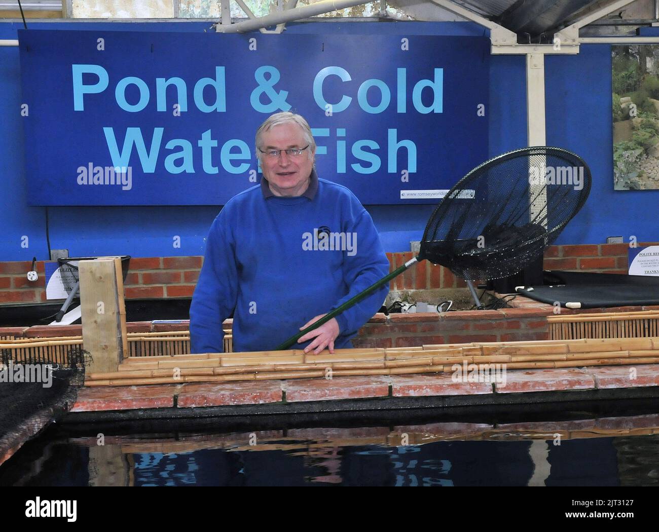 Großbritannien unter Wasser. Die erstaunlichen Markierungen zeigen die Karte vom Festland des Vereinigten Königreichs auf einem 14 Zoll Koi-Karpfen, der aus Japan importiert wurde. Die unheimliche Karte wurde von Geoff Wishart im Alter von 62 Jahren, Leiter des Koi-Karpfens in der Romsey World of Water in Romsey, Hampshire, bemerkt. Die 2-jährige Showa Koi kam im März mit 30 anderen Fischen aus Japan, aber erst vor einer Woche bemerkte Geoff die spektakulären Markierungen. Geoff sagte: ‘Ich habe die meiste Zeit meines Lebens mit Karpfen gearbeitet, aber so etwas habe ich noch nie gesehen. Gelegentlich kann es sich um eine Herzform oder etwas einfaches handelt, aber das sieht wirklich wie eine Karte aus Stockfoto