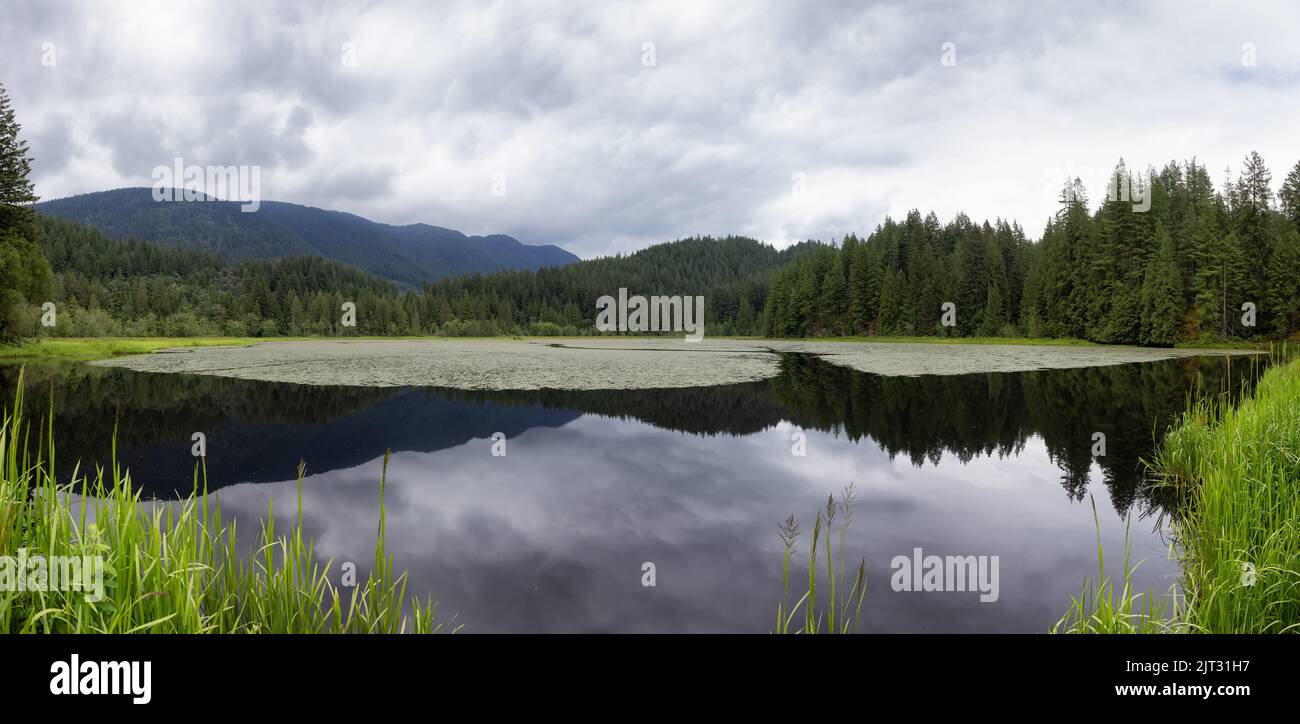 Panoramablick auf einen See in der kanadischen Naturlandschaft. Minnekhada Regional Park, Coquitlam Stockfoto