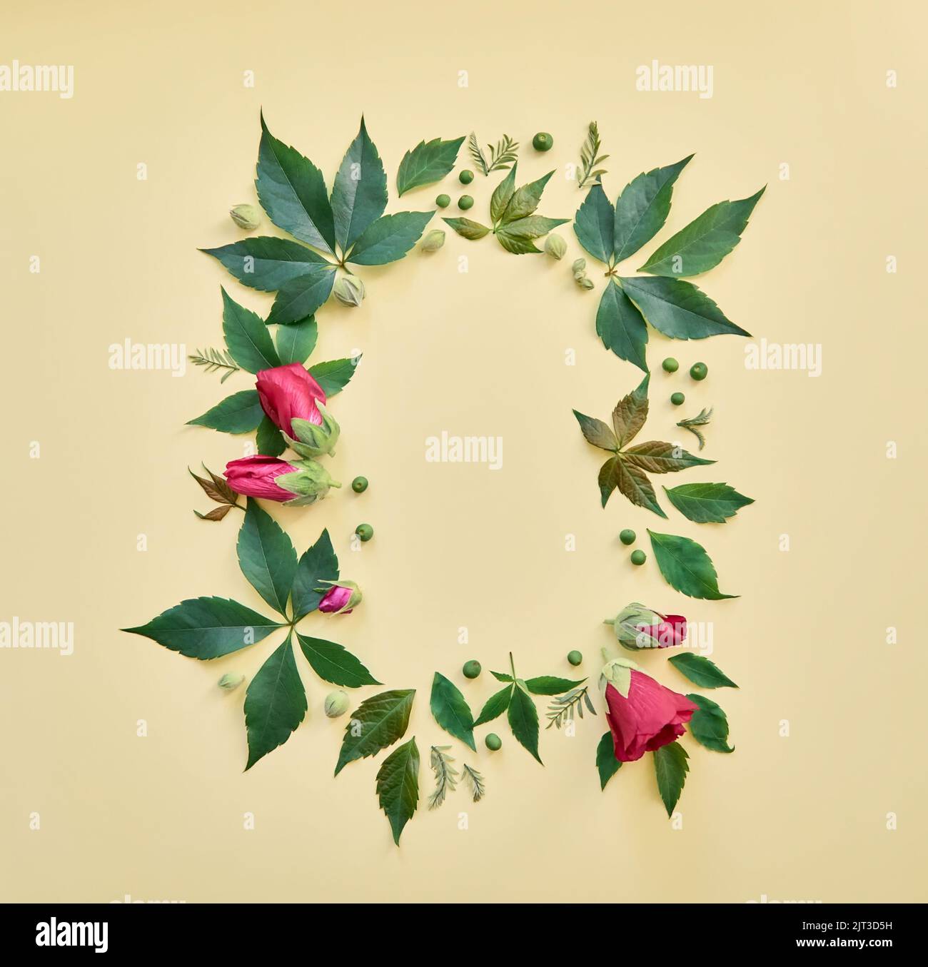Grüne Blätter und Blumen Rahmen, natürliche Bio-floralen Mockup Flatlay. Stockfoto