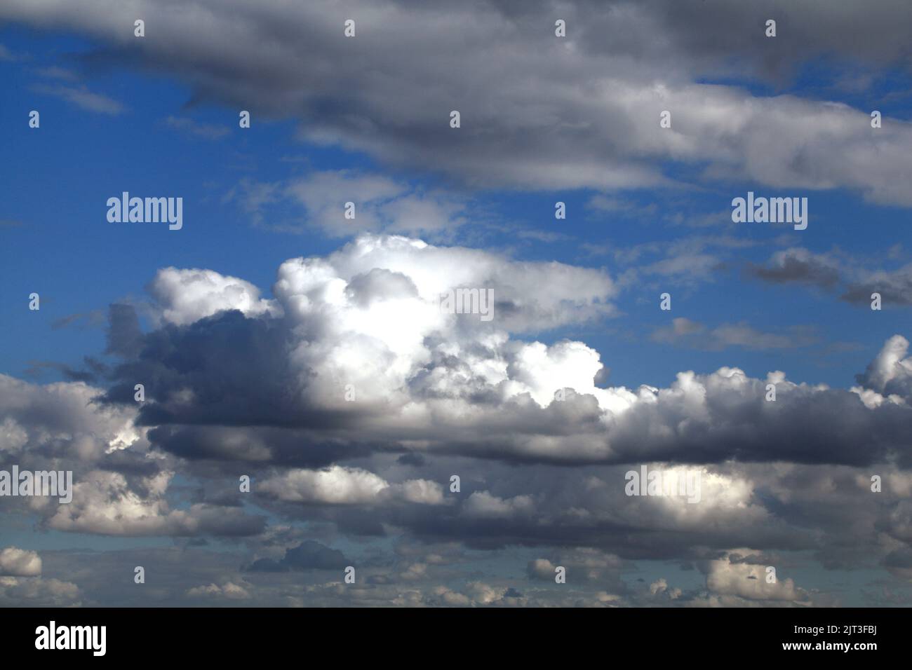 Weiße Cumuluswolken, blauer Himmel, Himmel, Wolke, Wetter, meteorologie, England, Großbritannien Stockfoto