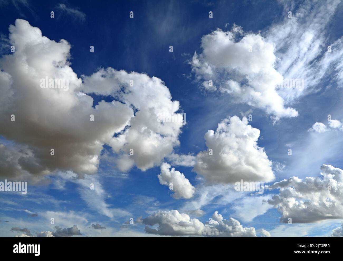 Weiße Cumuluswolken, blauer Himmel, Himmel, Wolke, Wetter, meteorologie, England, Großbritannien Stockfoto