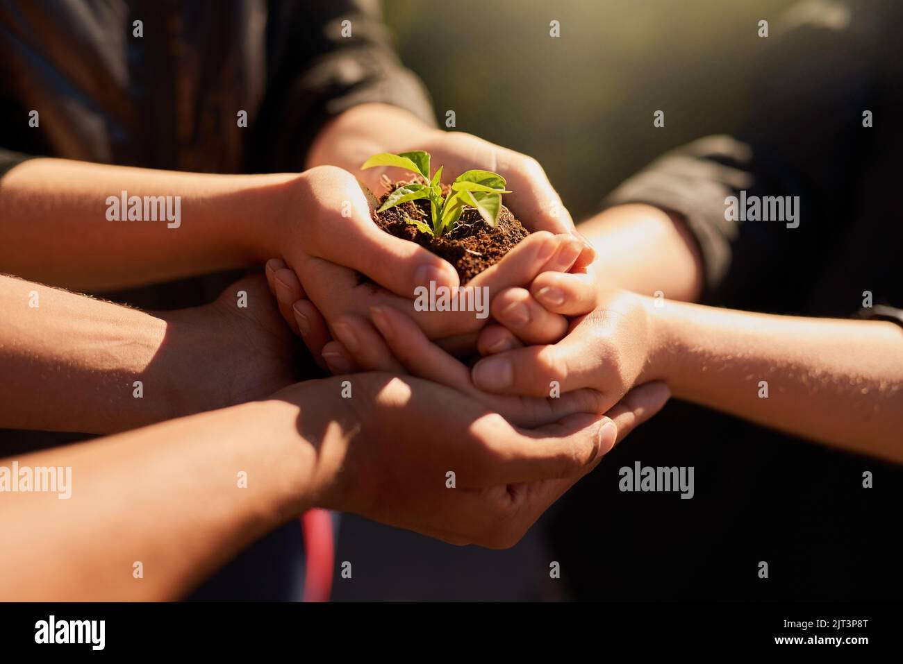 Seien Sie die Veränderung, die Sie sehen möchten. Eine Gruppe von Menschen, die eine Pflanze halten, die aus dem Boden wächst. Stockfoto