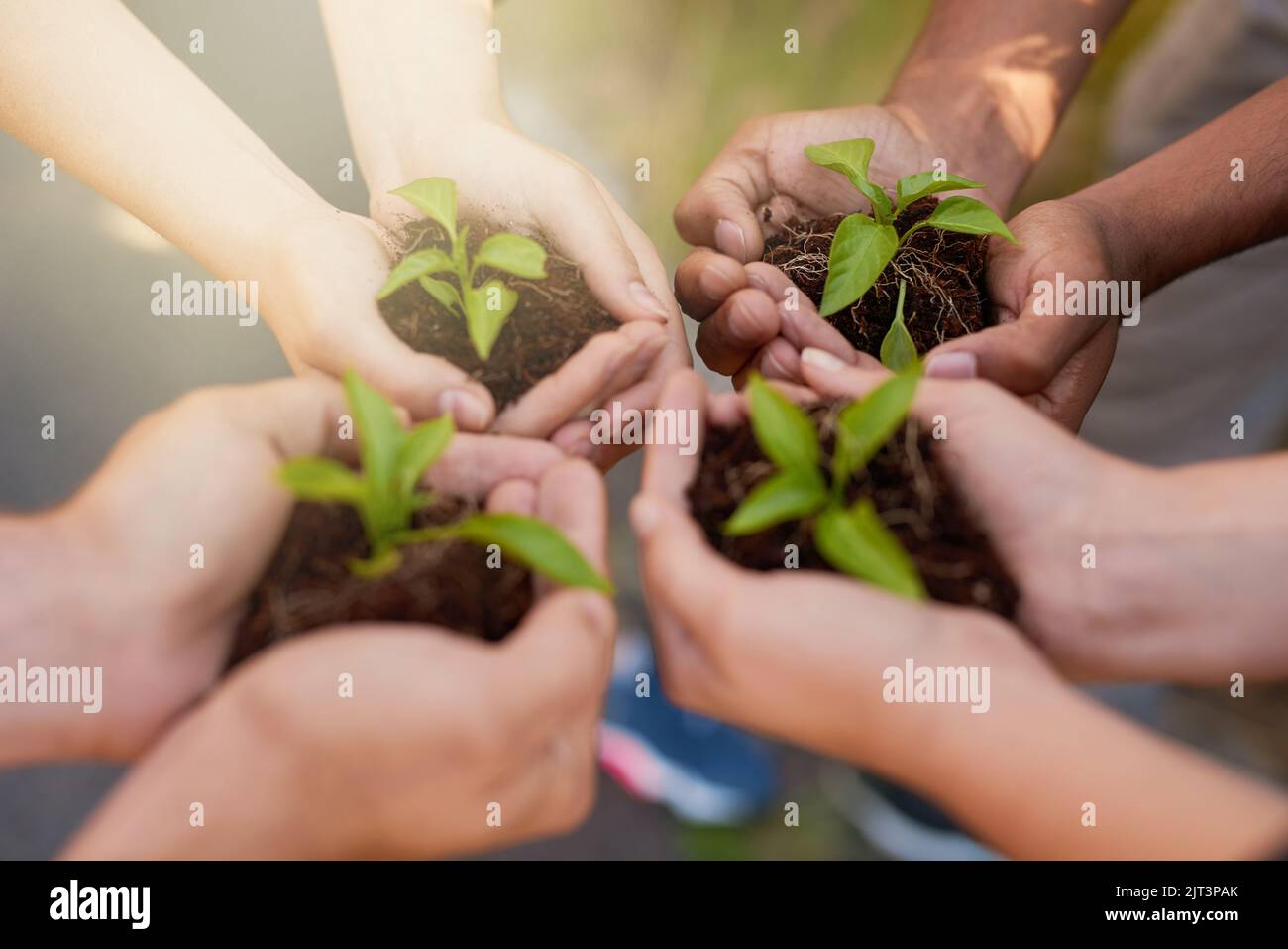 Es beginnt bei dir. Eine Gruppe von Menschen, die Pflanzen halten, die aus dem Boden wachsen. Stockfoto