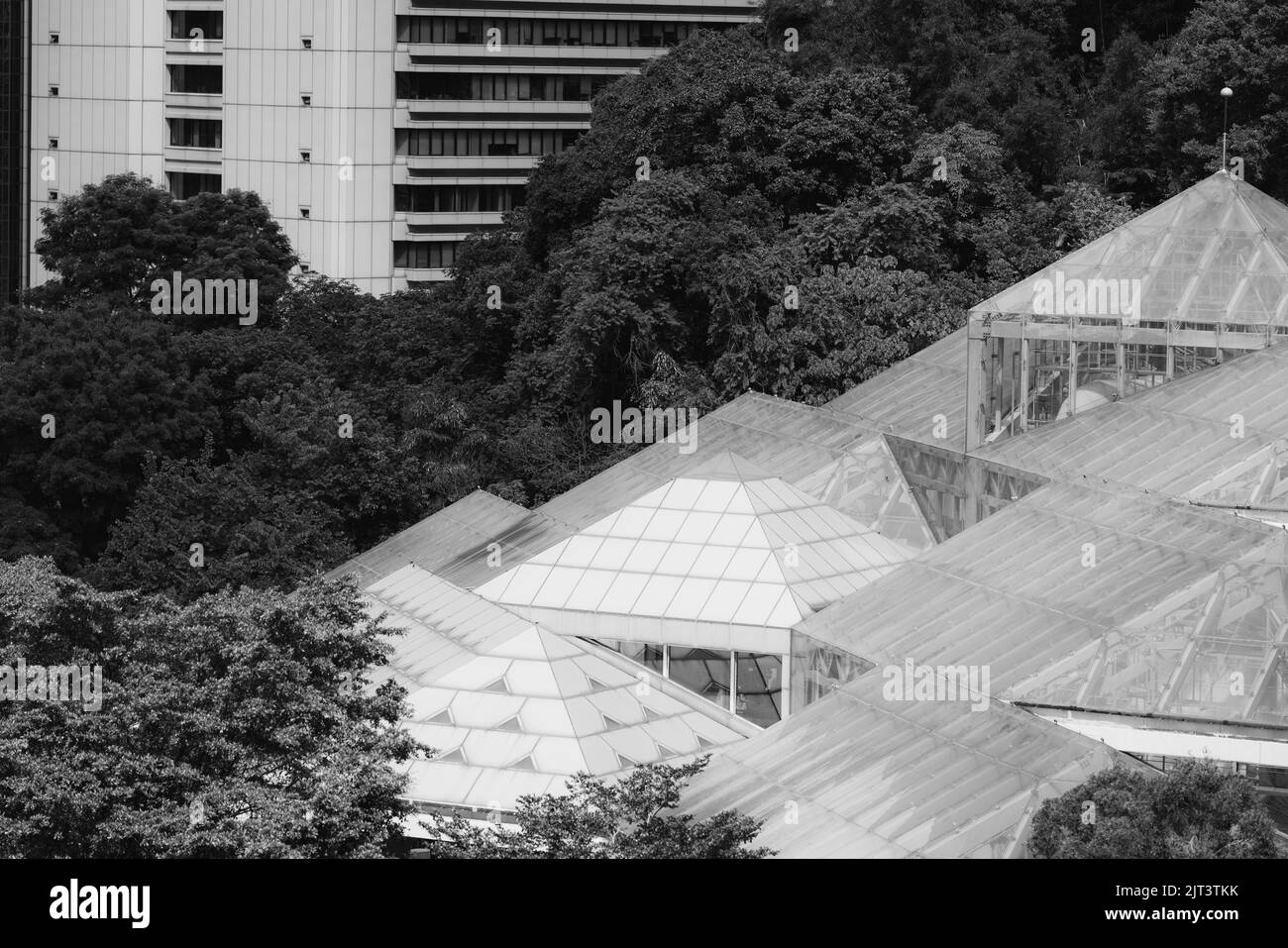 Hong Kong Park Landscape, Central Hong Kong. (August 2022) Stockfoto