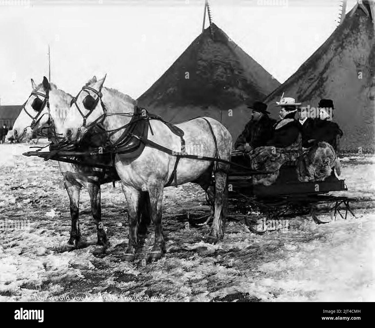 Zwei Paare im Pferdeschlitten vor Bergbauhalden bei einem Bergbaubetrieb in Nome, Alaska, um 1905 (AL CA 7500). Stockfoto