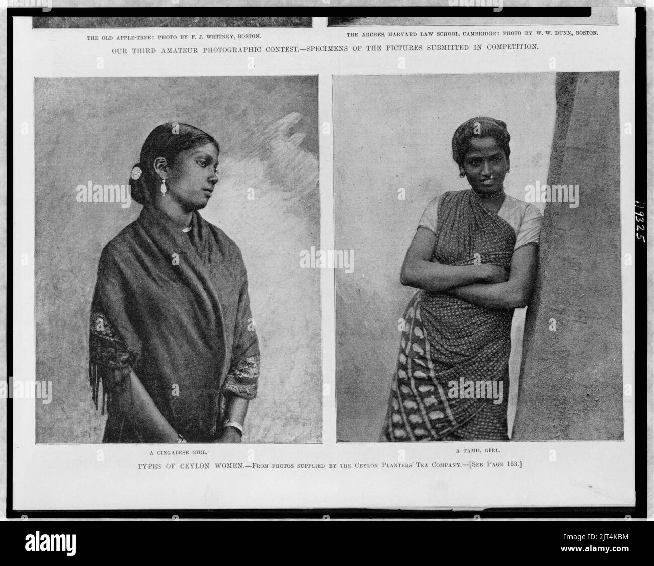 Arten von Ceylon-Frauen - aus Fotos der Ceylon Planters' Tea Company. Stockfoto
