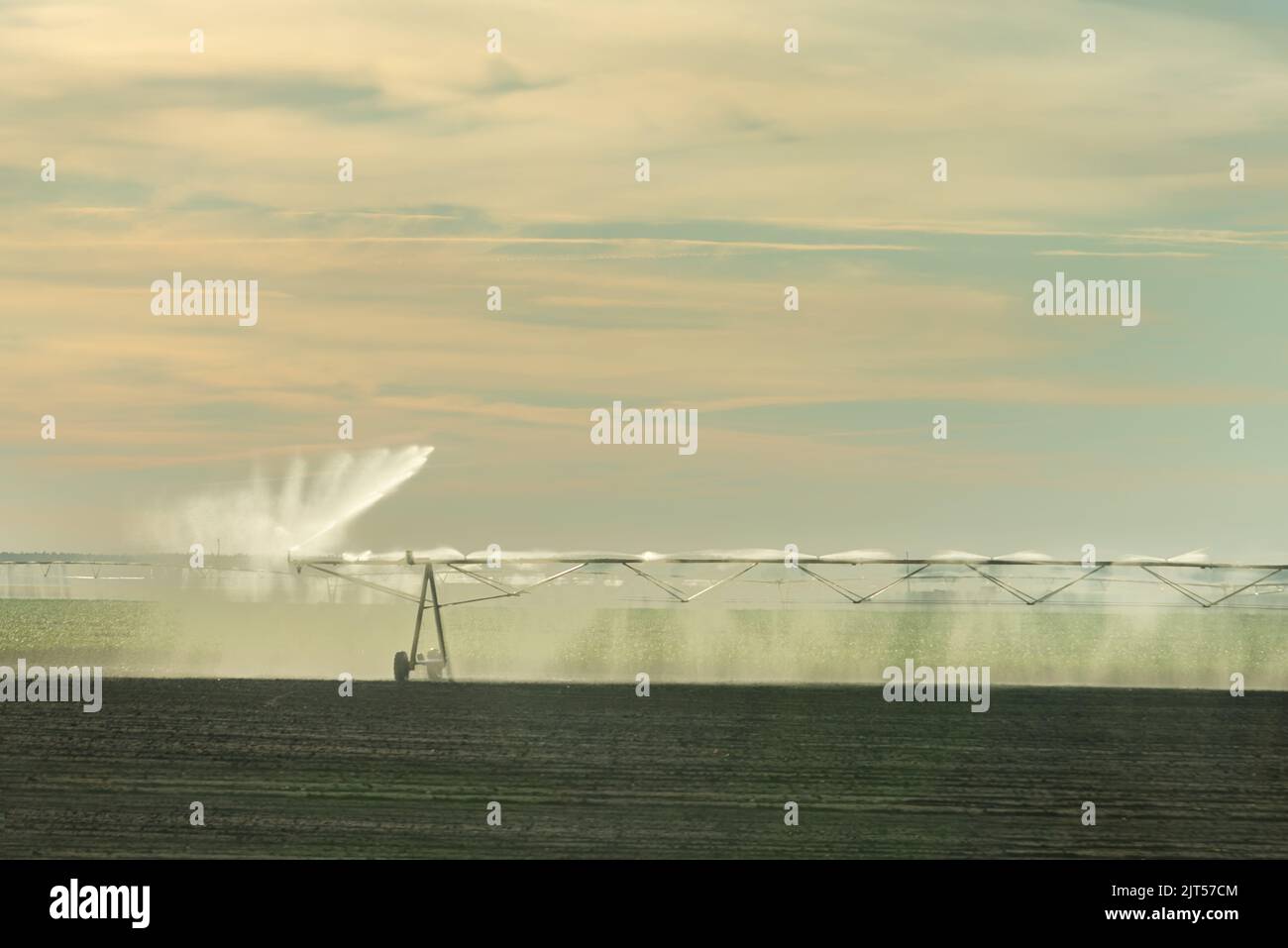 Center Pivot Bewässerungssystem, Rohre mit Sprinklern, die eine Plantage bewässern. Stockfoto