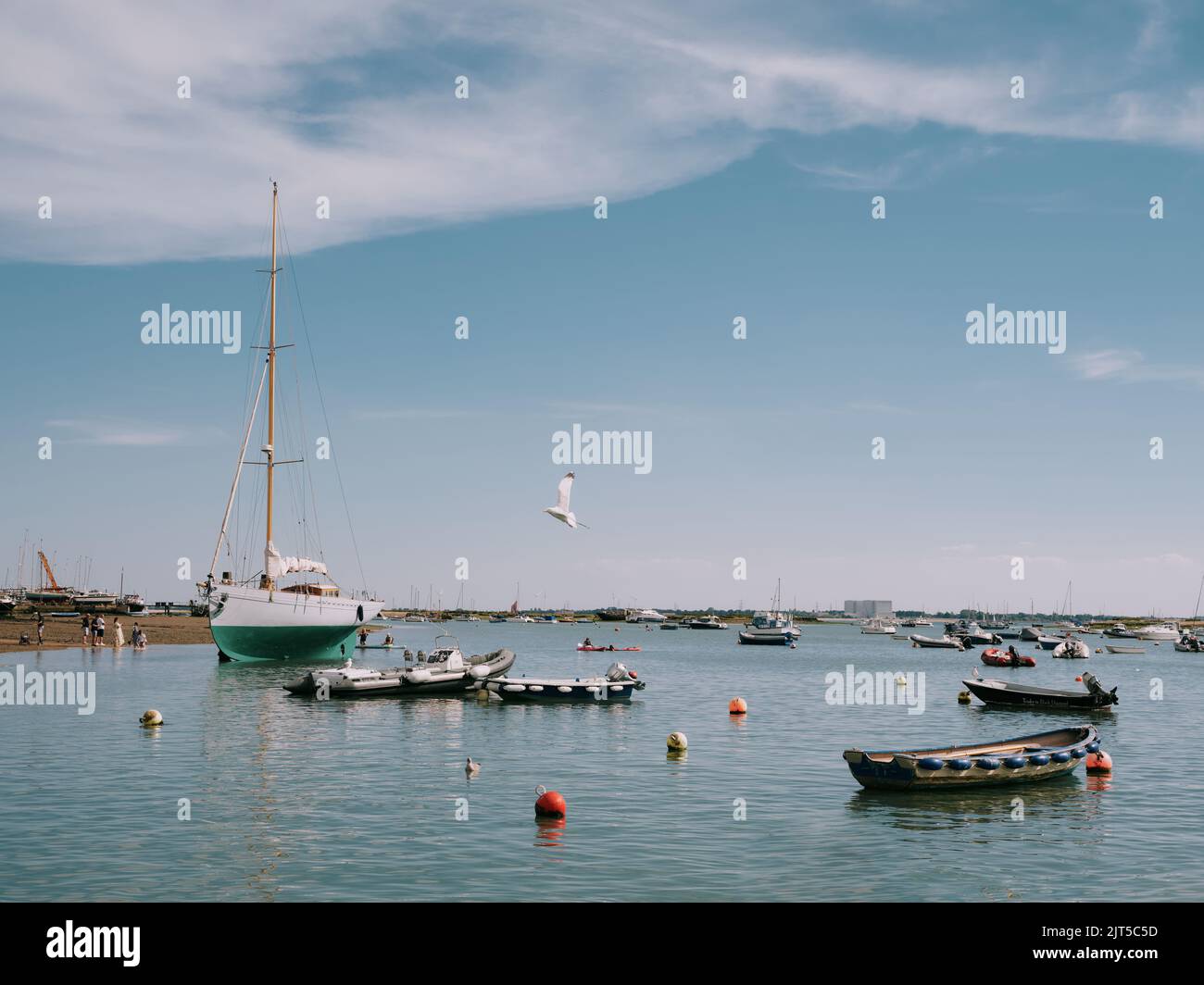 Die Sommerlandschaft und Boote in West Mersea Harbour, Mersea Island, Essex England Stockfoto