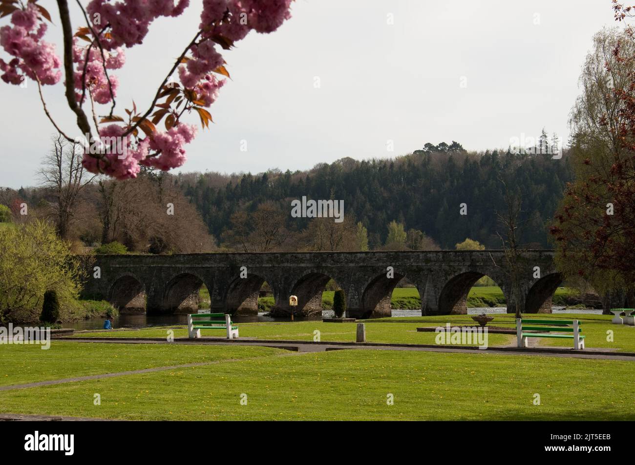 Brücke über den Fluss Nore, Inistioge, Co. Kilkenny, Irland. Viele Bogenbrücken und Kirschblüten im Vordergrund. Stockfoto