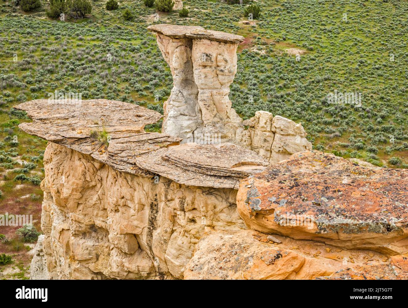 Sandstein-Hoodoos, Castle Gardens Scenic Area, Bighorn Basin, in der Nähe der Stadt Ten Sleep, Wyoming, USA Stockfoto
