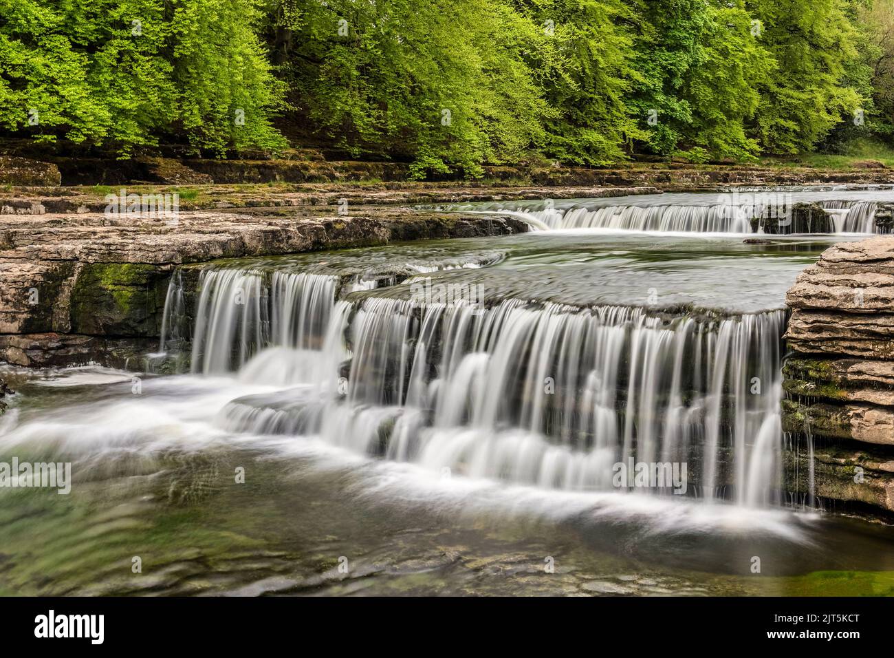 Lower Force, der niedrigste Teil der Aysgarth Falls am Fluss Ure in Wensleydale, North Yorkshire. Stockfoto