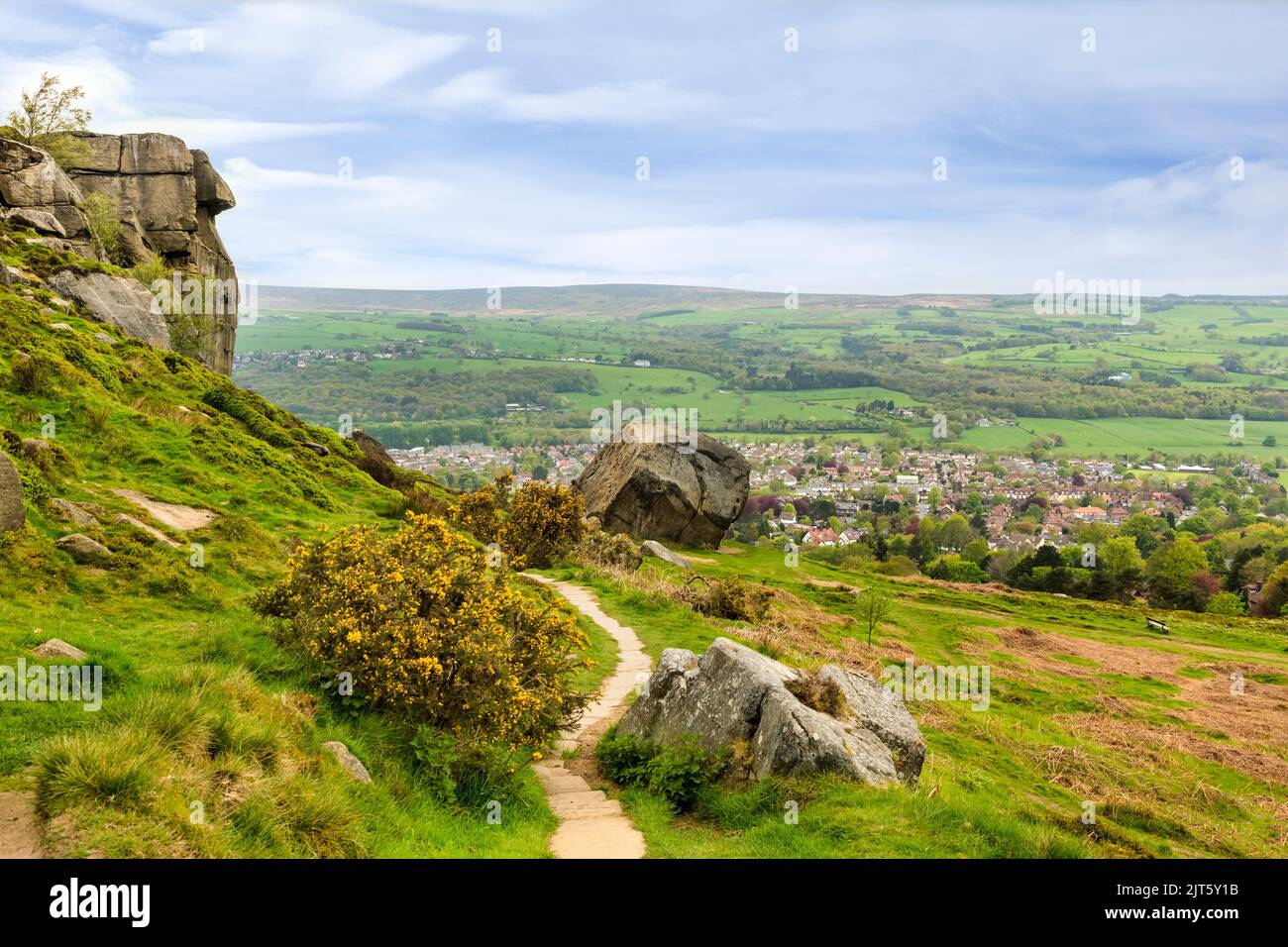 Ilkley Moor, mit den Cow- und Calf-Felsen, einem Fußweg, Ginster und einem Blick über die West Yorkshire-Mühlenstadt Ilkley. Stockfoto