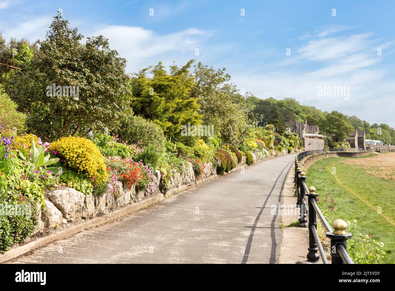 Grange-over-Sands, Cumbria, Großbritannien - wunderschöne, preisgekrönte Gärten entlang der Promenade an einem sonnigen Frühlingstag. Stockfoto