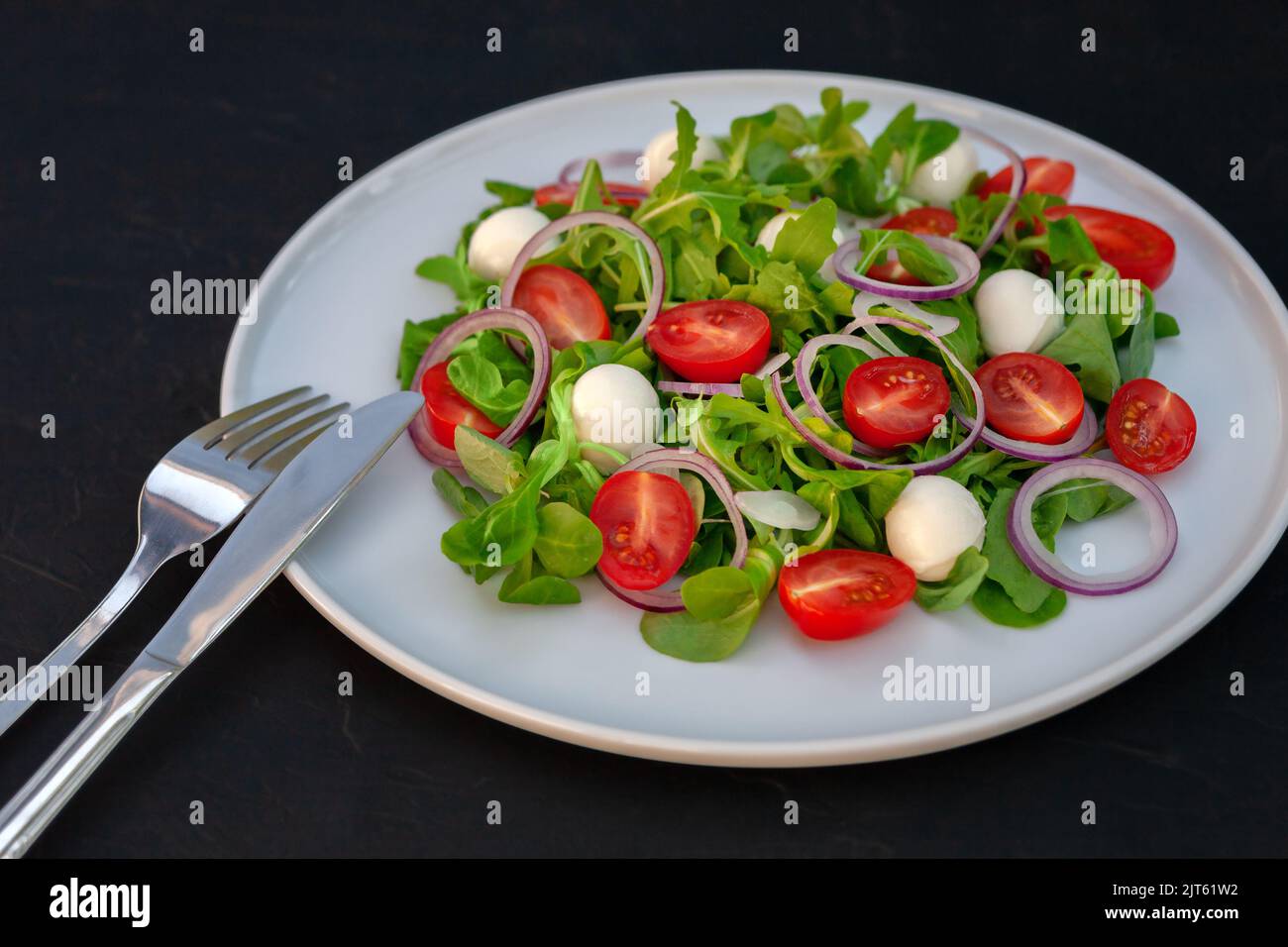 Vegetarischer frischer Gemüsesalat mit Mozzarella auf einem weißen Gericht in Nahaufnahme Stockfoto