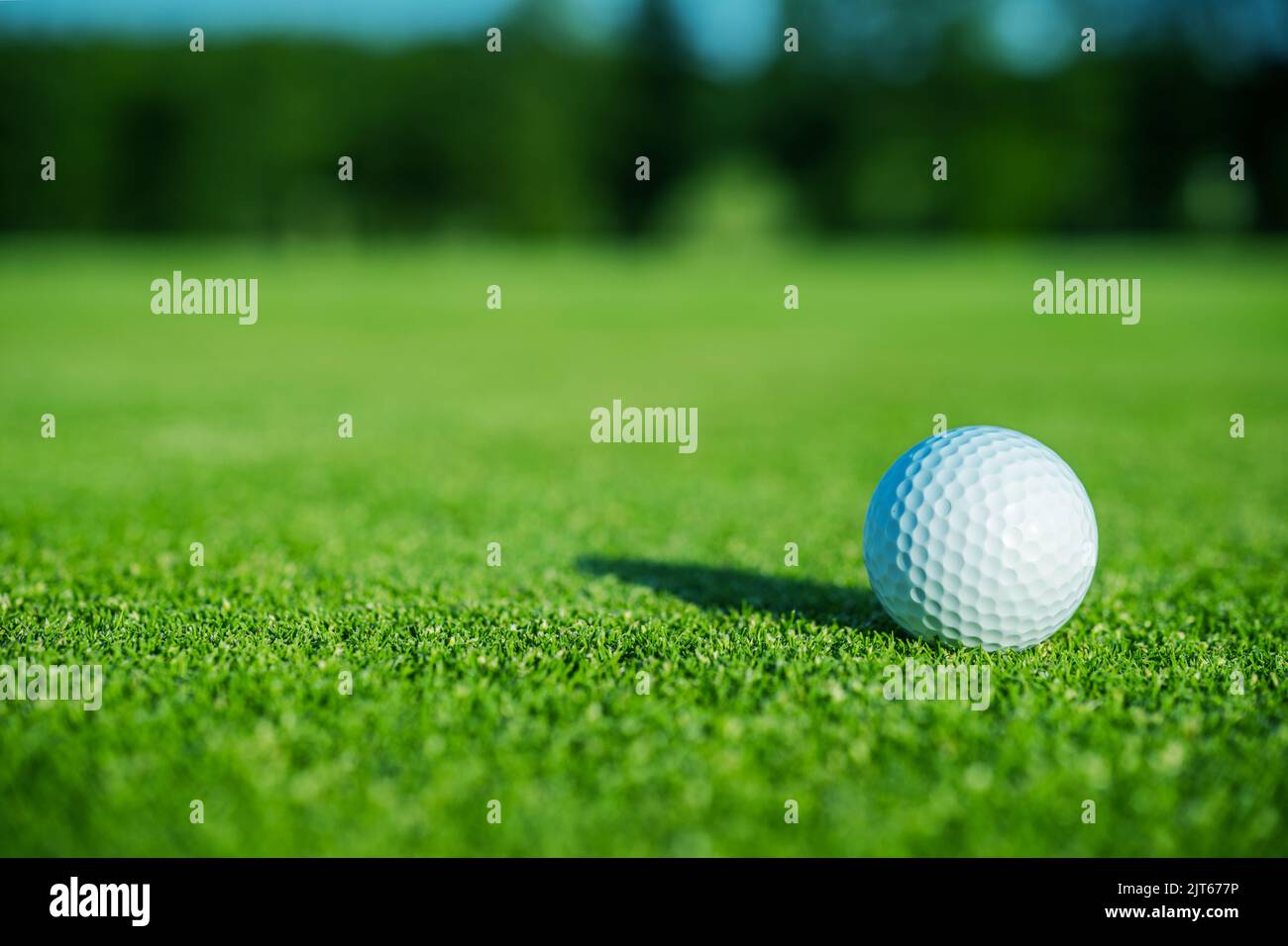 Offener Golfplatz mit einem Ball auf einem Feld. Freizeitbeschäftigungs- und Sportthema. Stockfoto