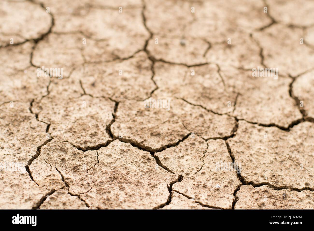 Gebrochene Ton Boden in der Trockenzeit Stockfoto